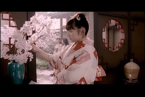 Sakura Mankai